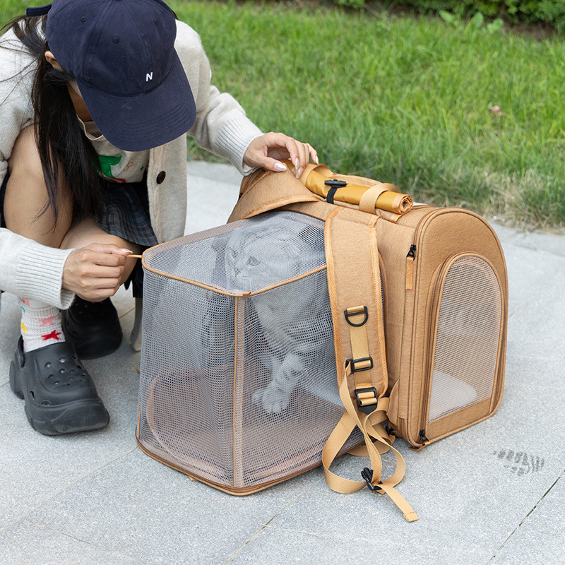 Portable cat bag, expandable l - Foldable Backpack Small บทวิจารณ์และราคา