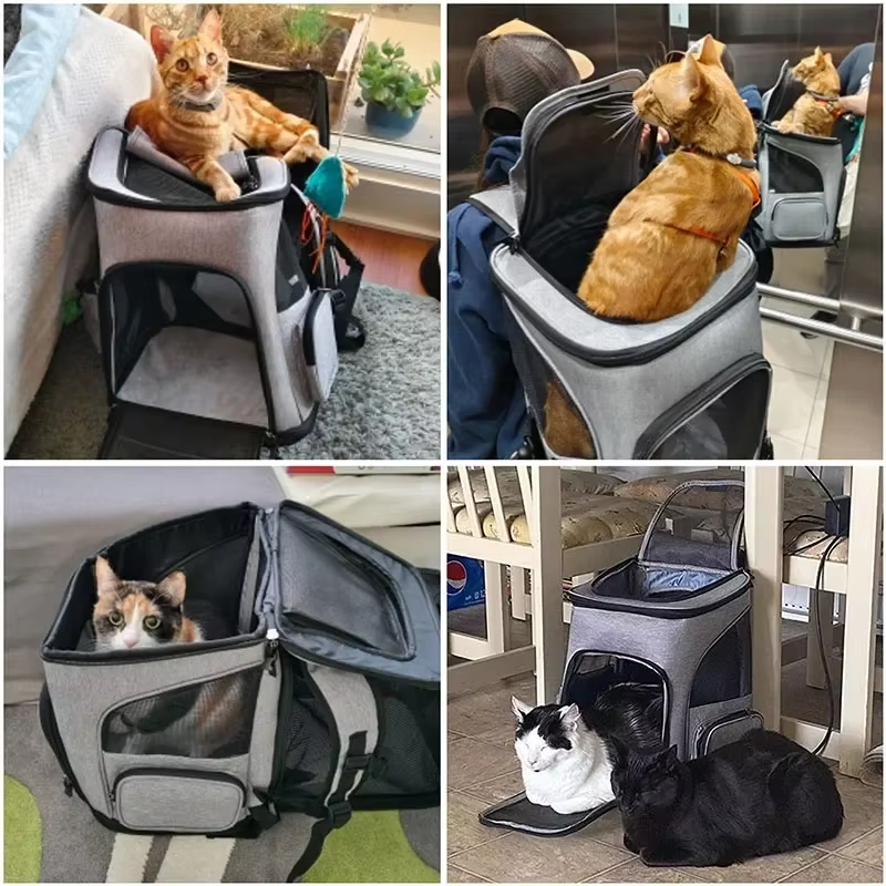Cat Bag Outdoor Portable Cat B - Foldable Backpack Small บทวิจารณ์และราคา