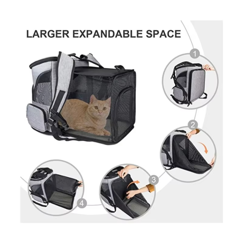 Cat Bag Outdoor Portable Cat B - Foldable Backpack Small บทวิจารณ์และราคา
